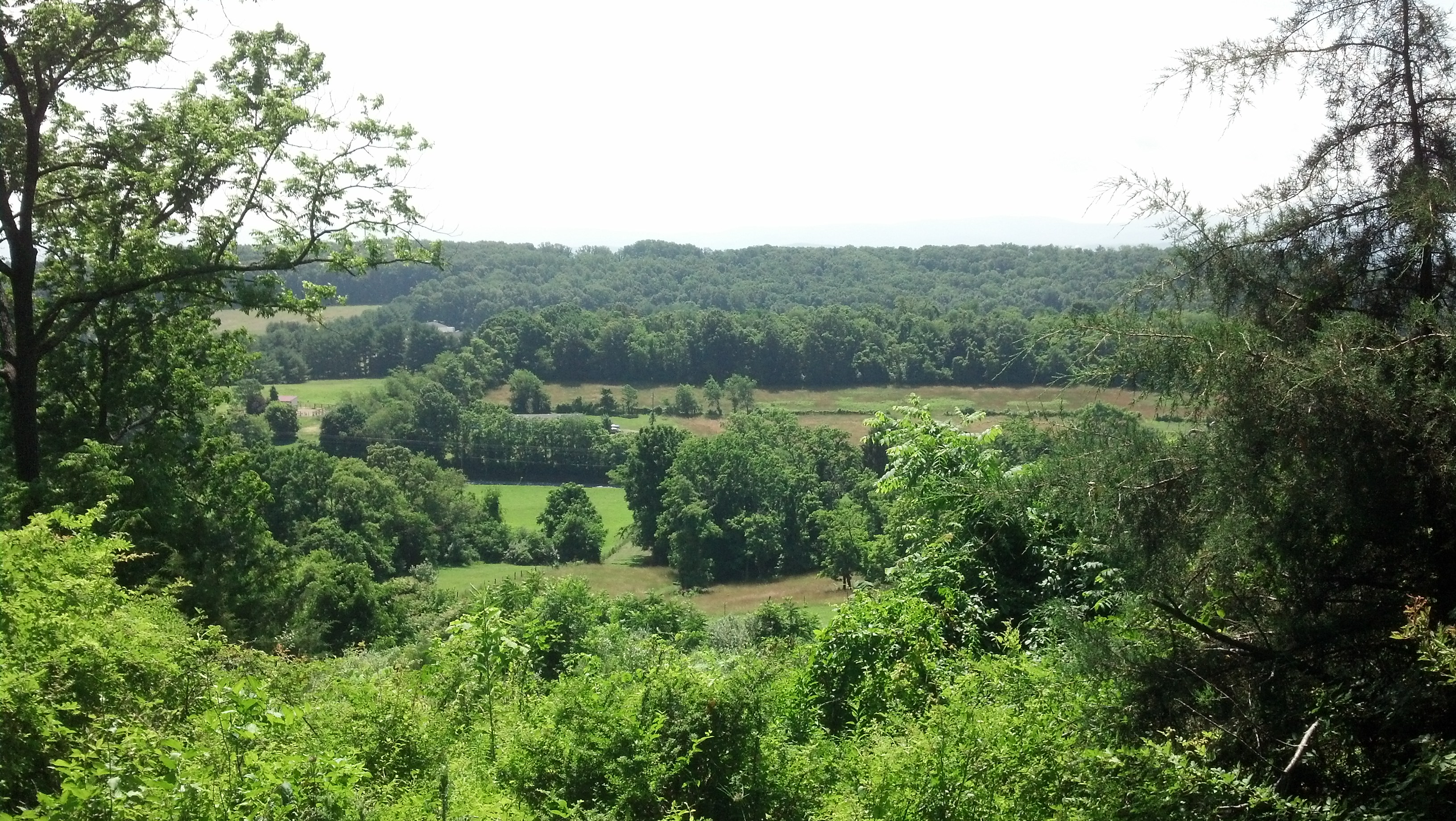 View from atop the hill
